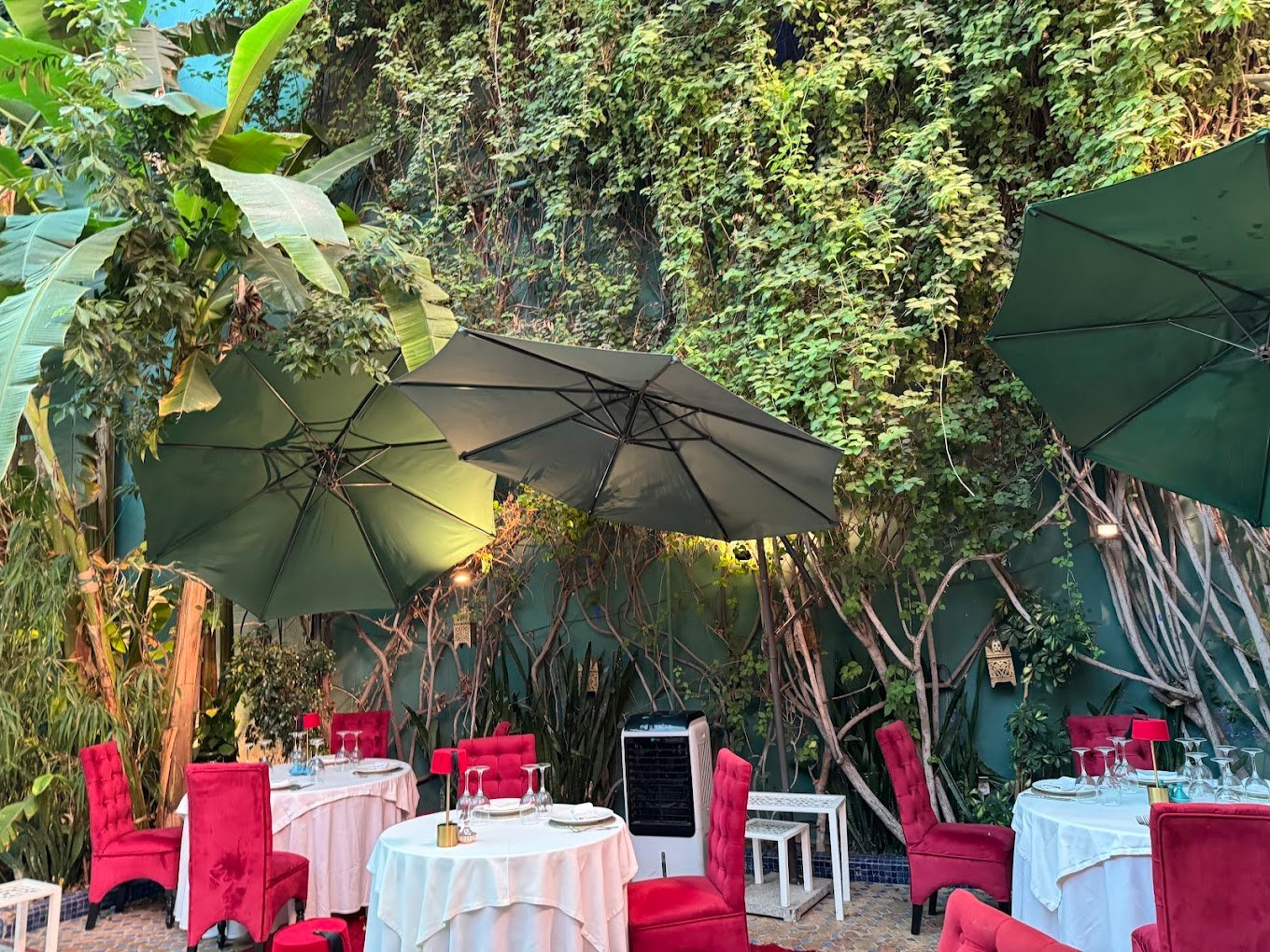 Riad Dar Moha